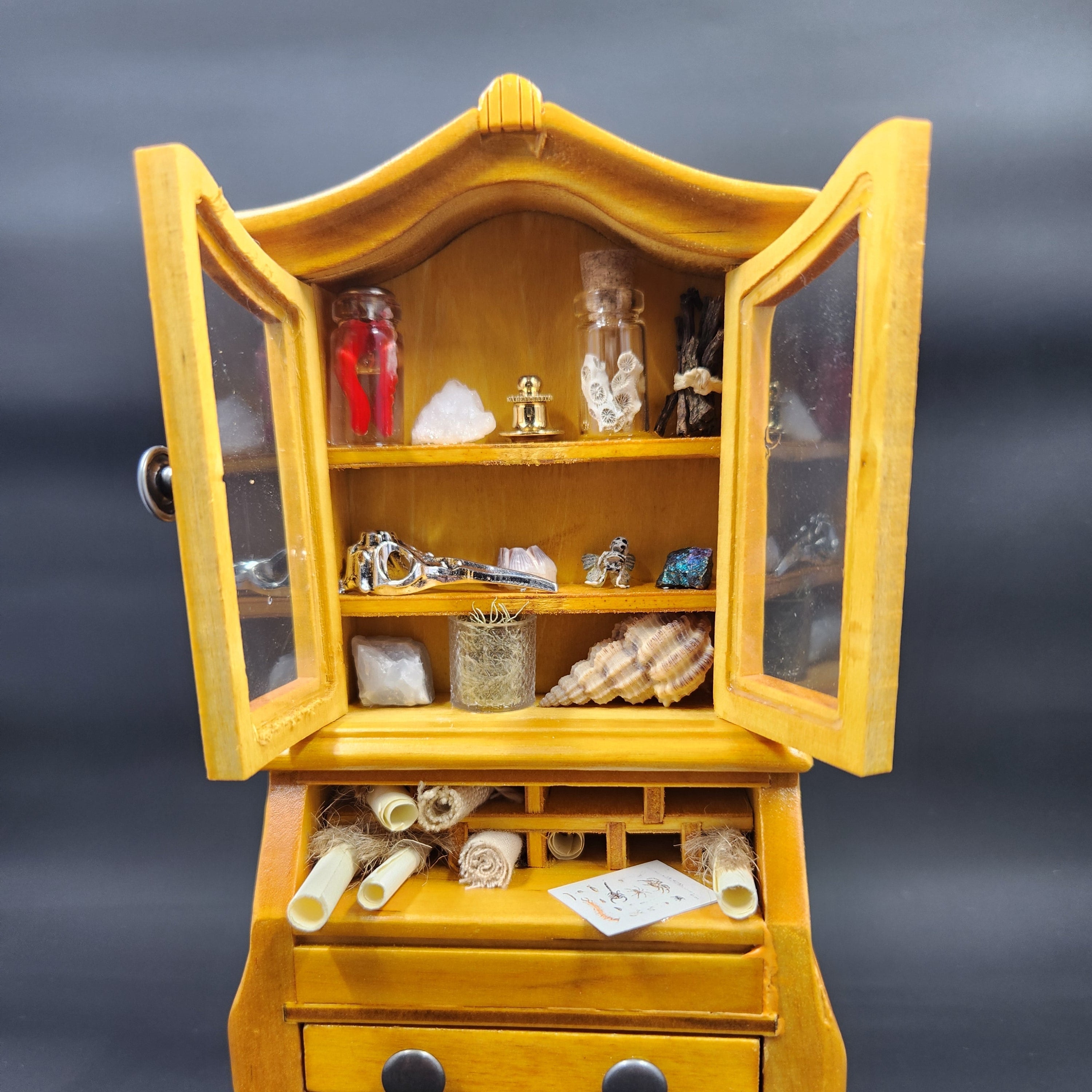 Cabinet of Curiosities