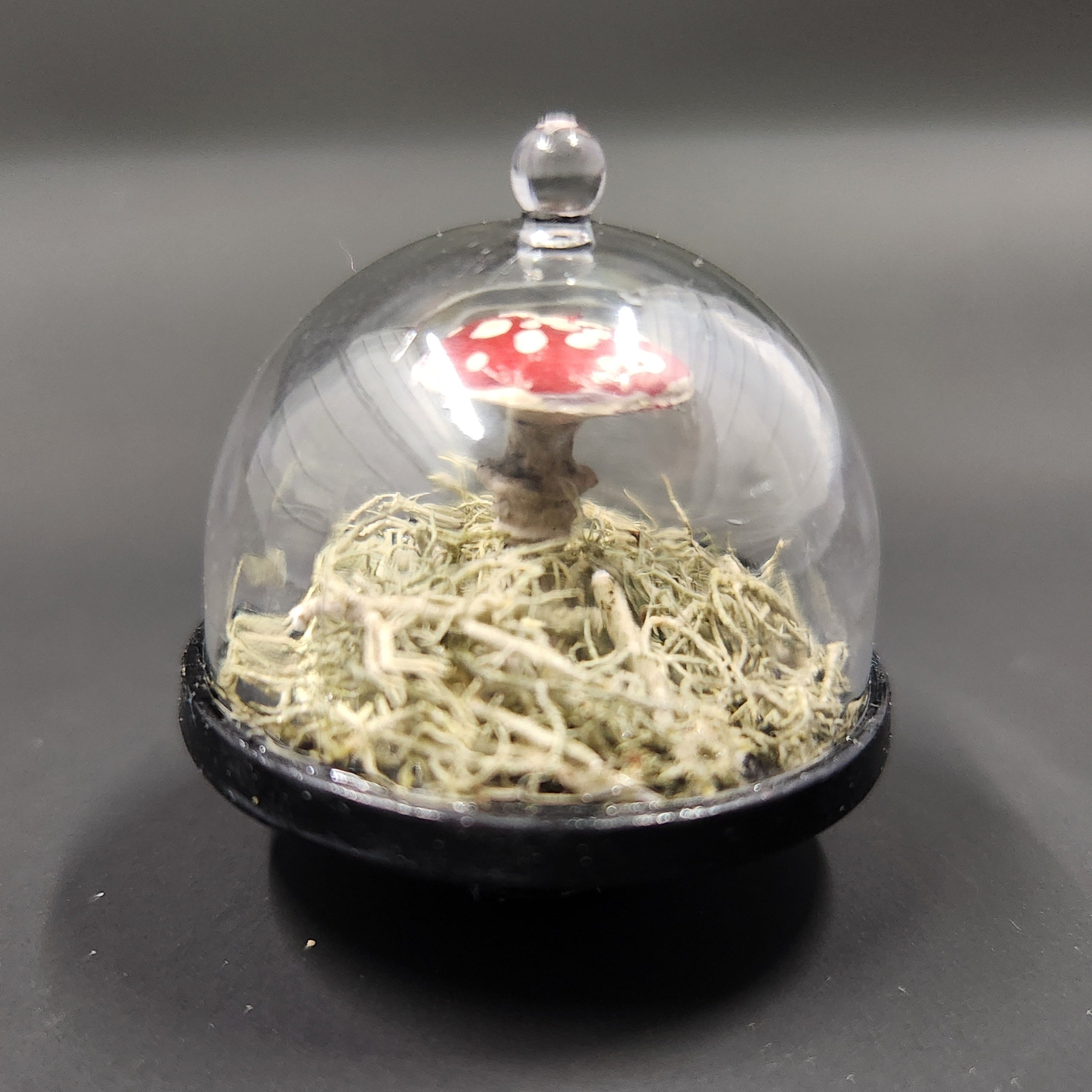 Miniature Fly Agaric Cloche