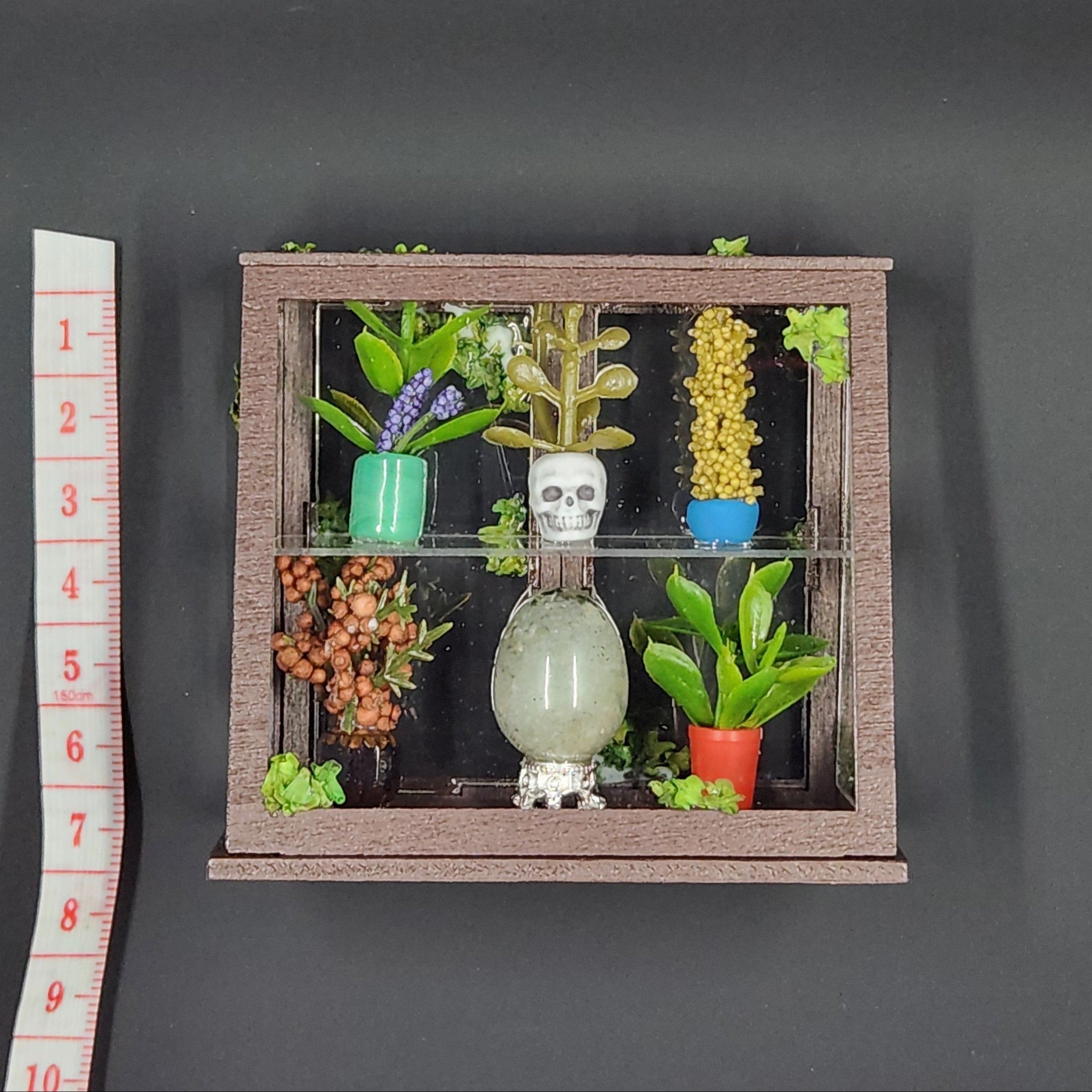 Miniature Terrarium Cabinet