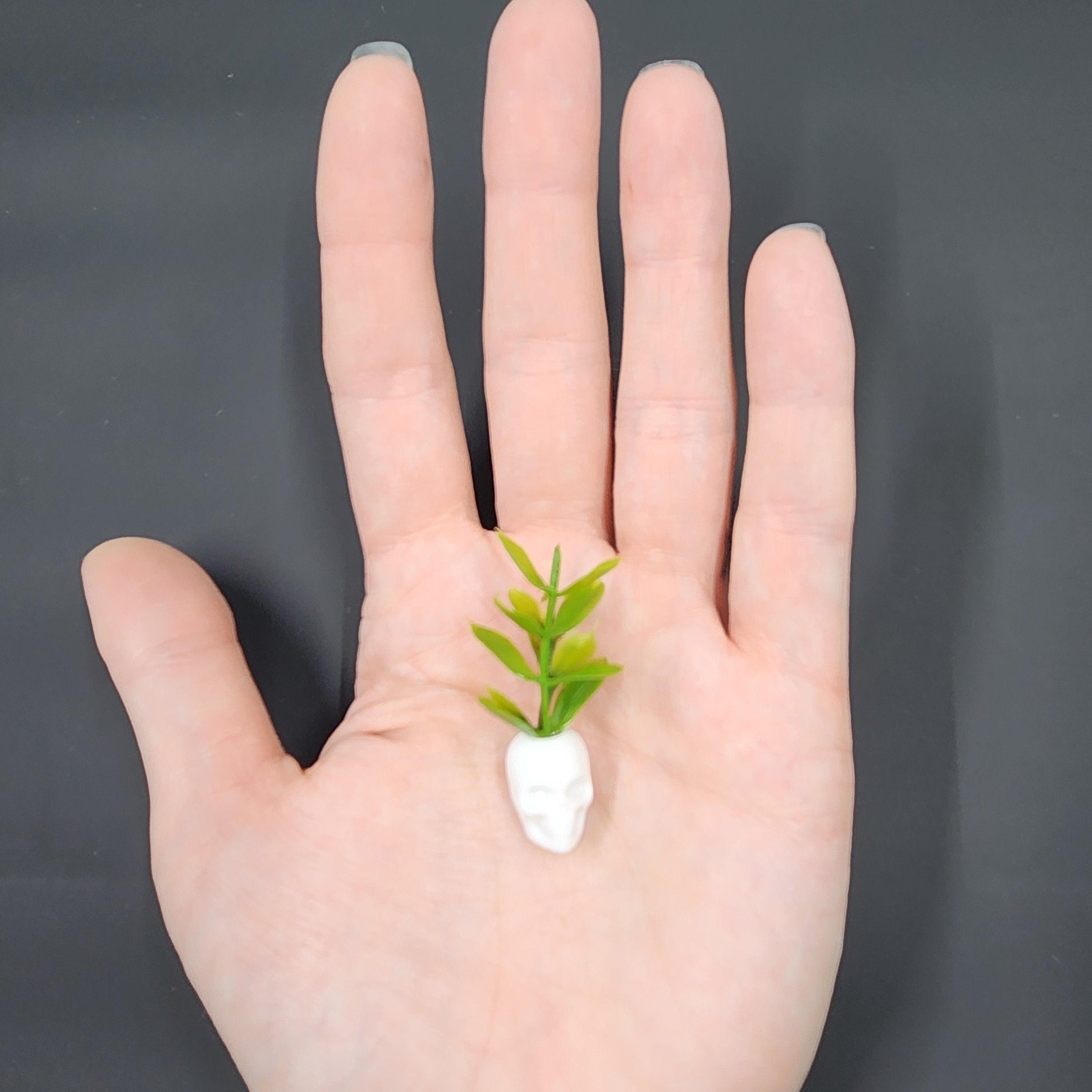 Miniature White Skull Planter