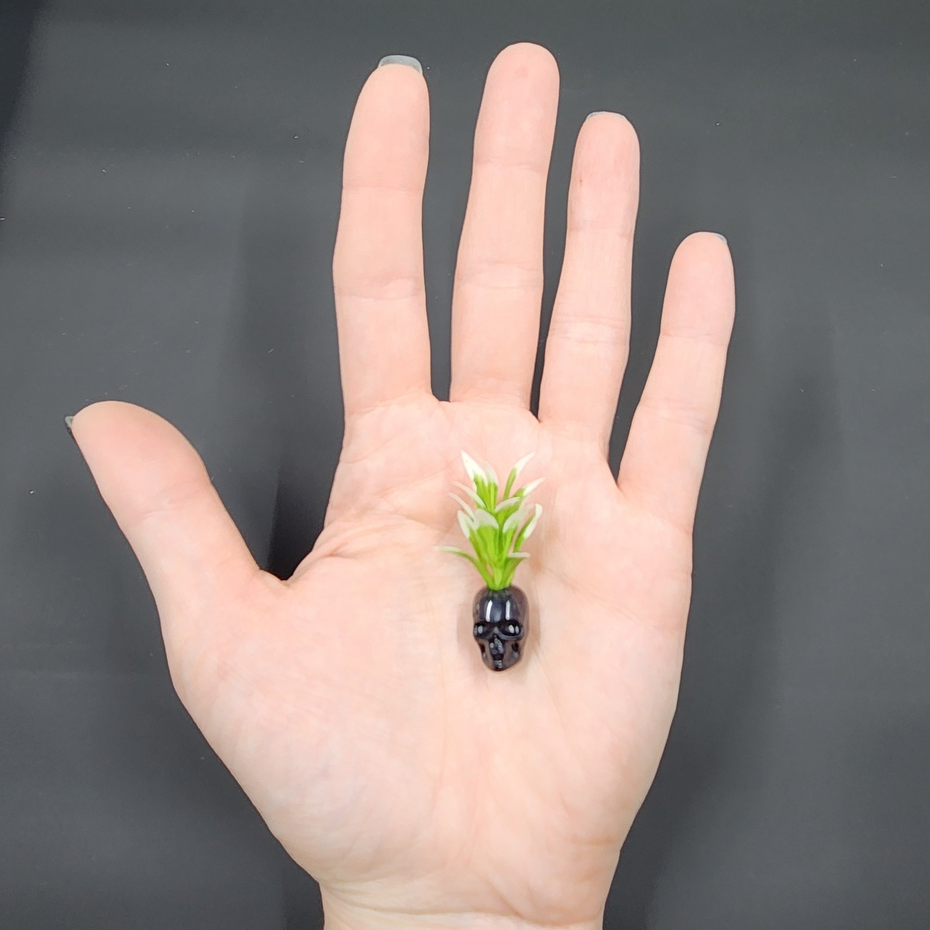 Miniature Black Skull Planter