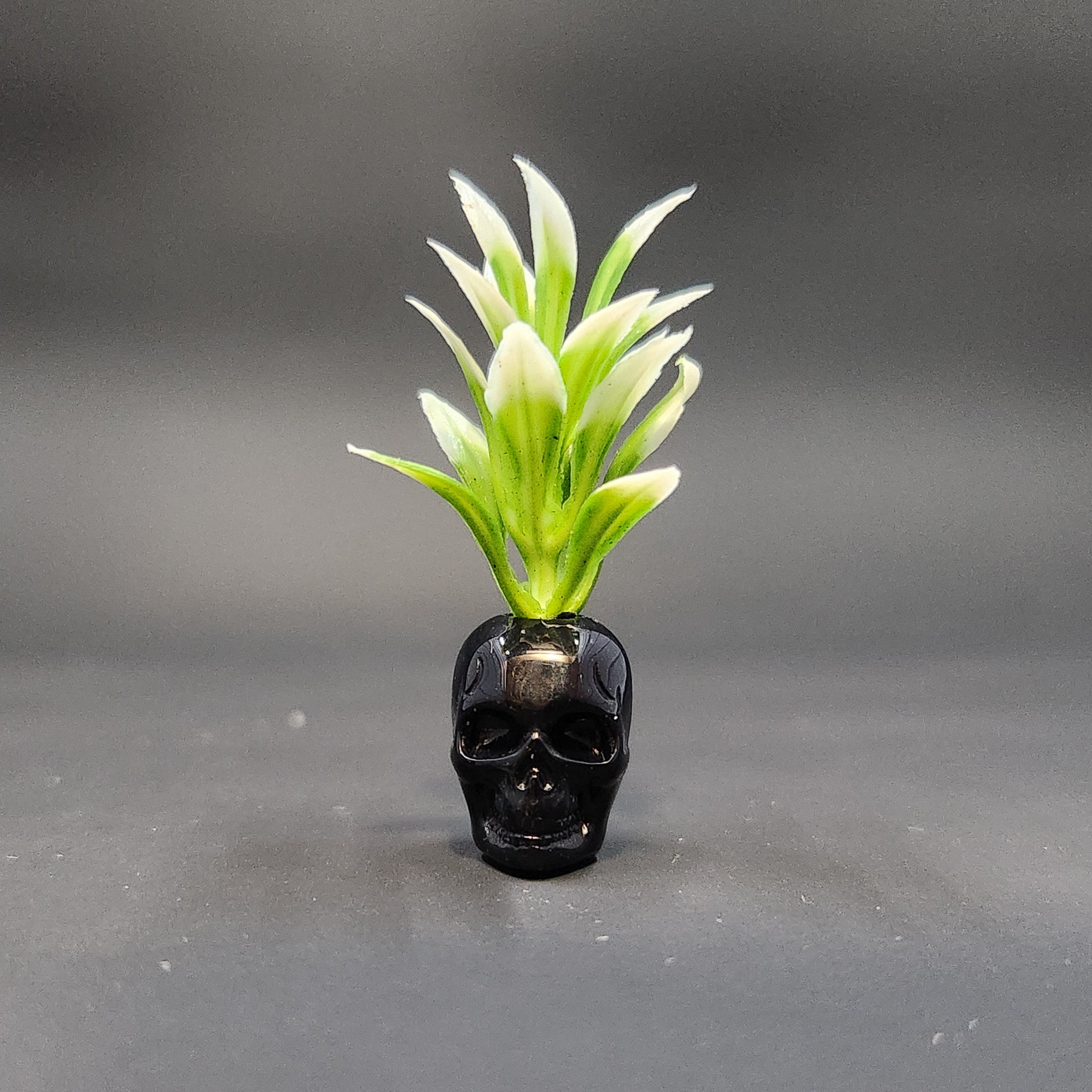 Miniature Black Skull Planter
