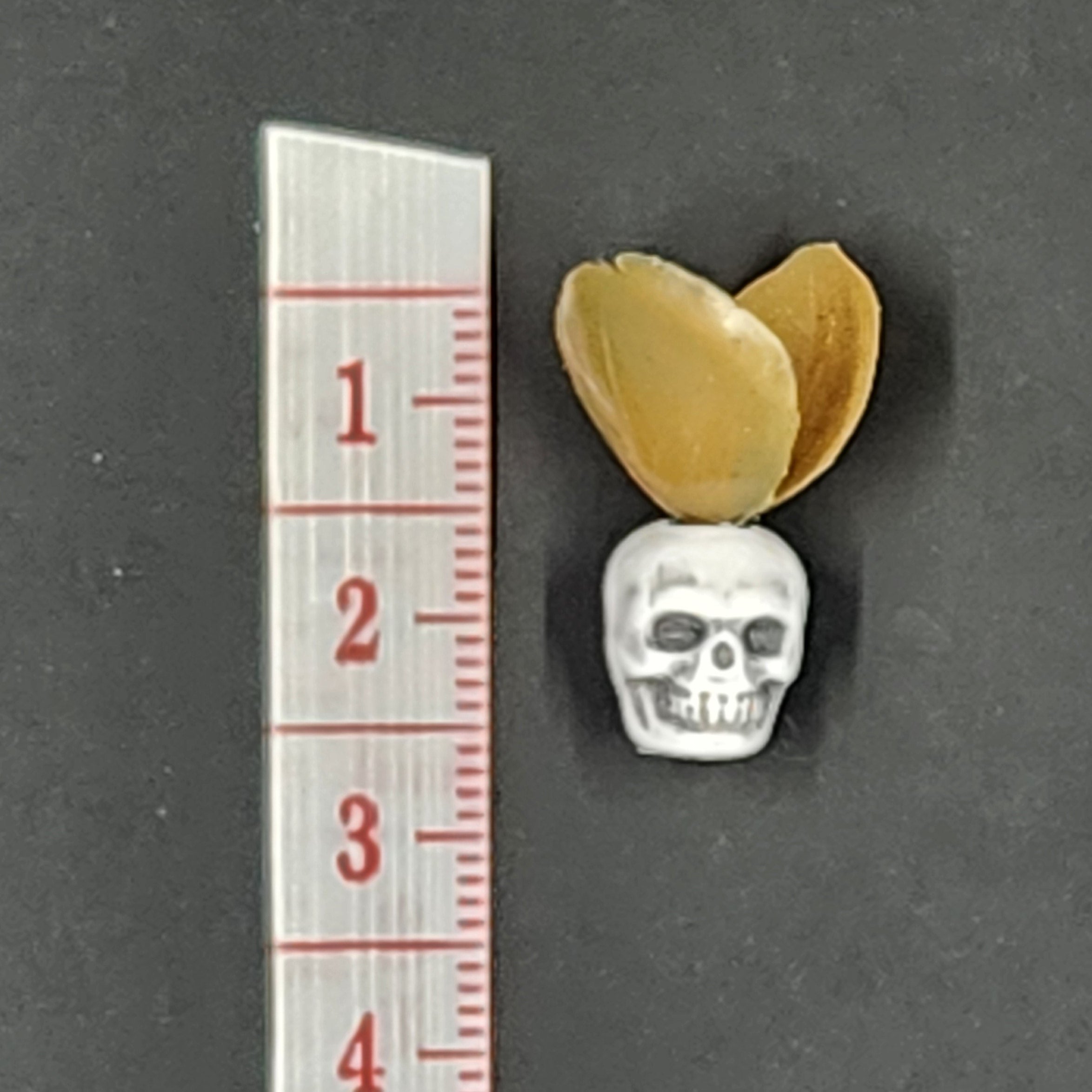 Miniature Detailed White Skull Planter