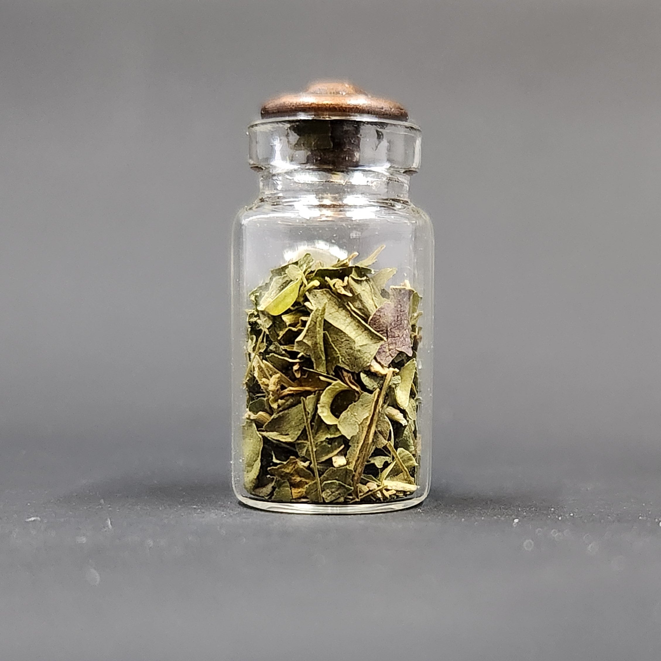 Miniature Jar of Skullcap