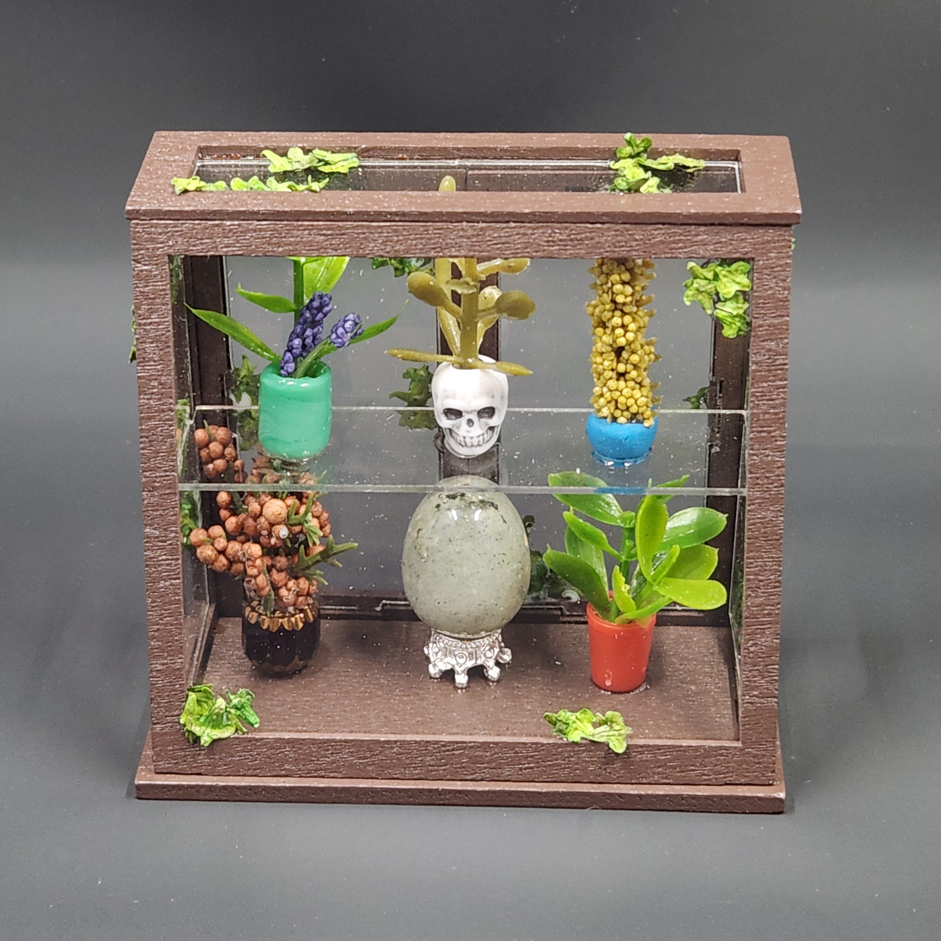 Miniature Terrarium Cabinet