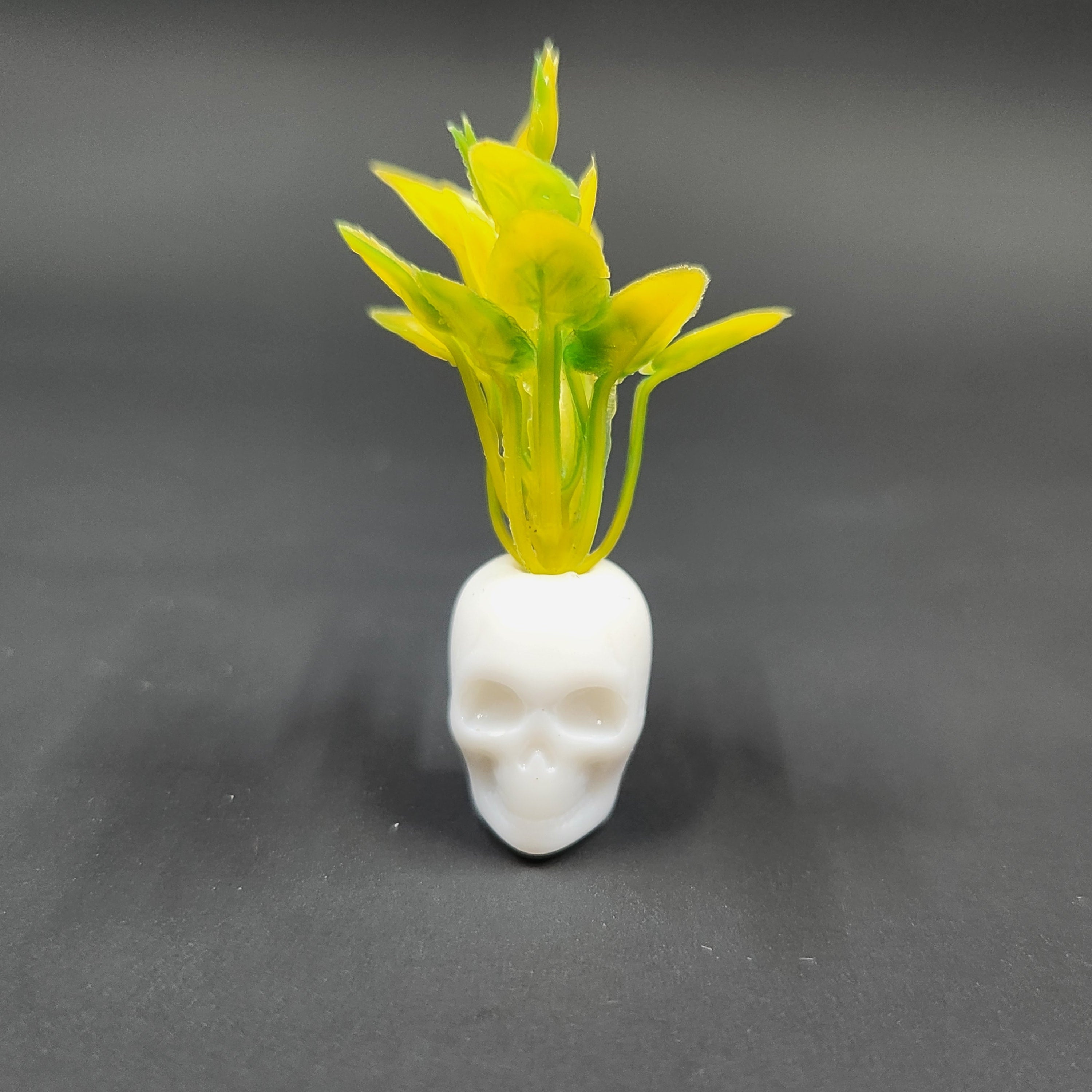 Miniature White Skull Planter
