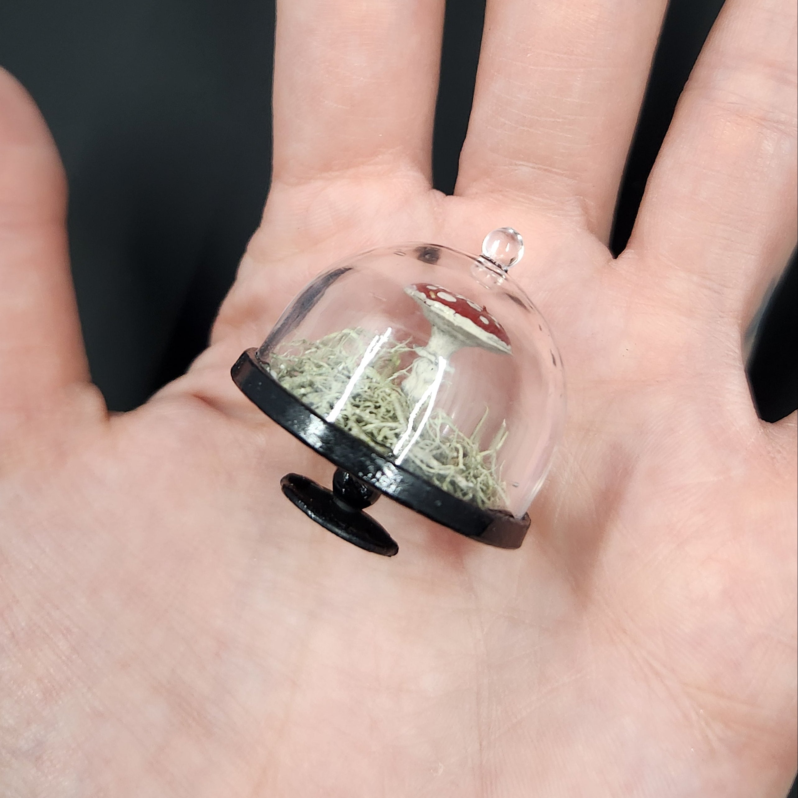Miniature Fly Agaric Cloche