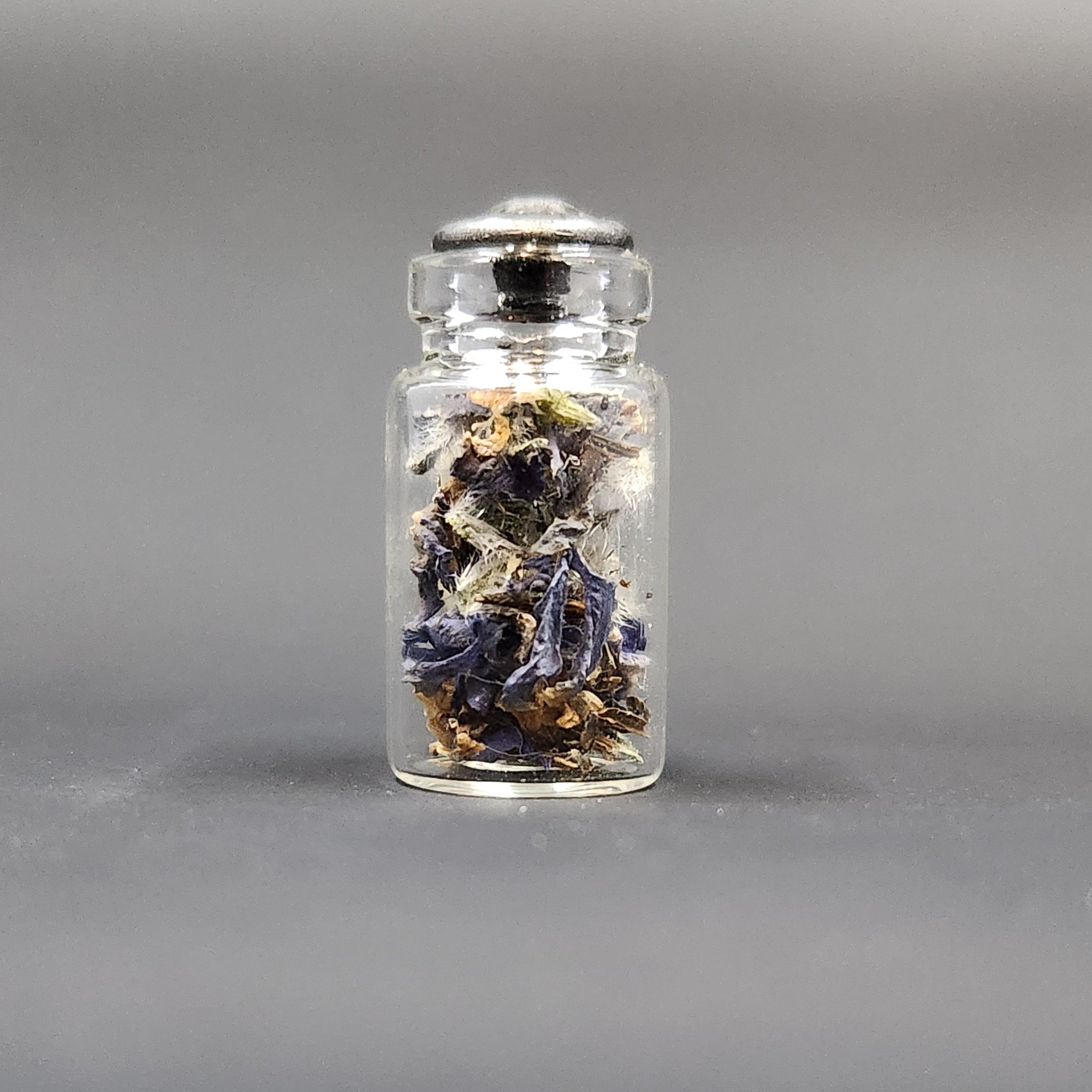Miniature Jar of Borage