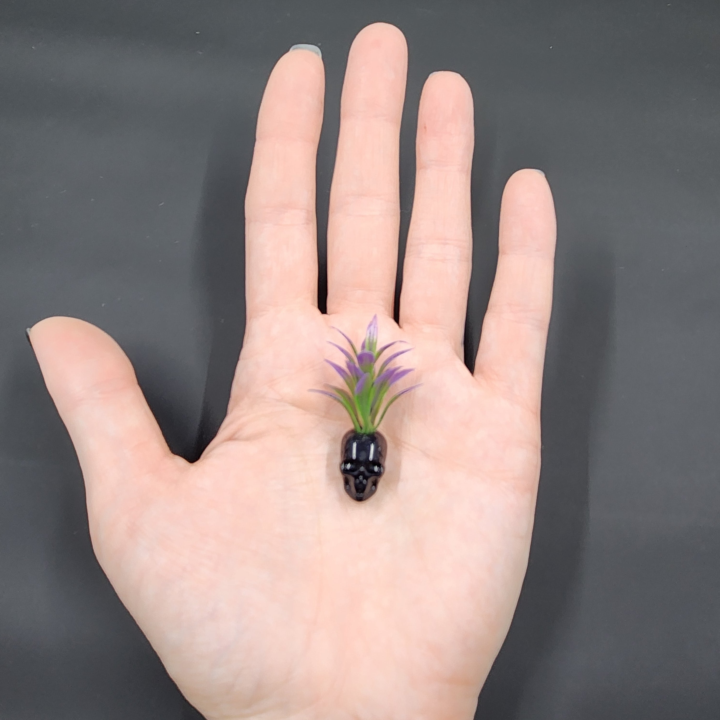 Miniature Black Skull Planter