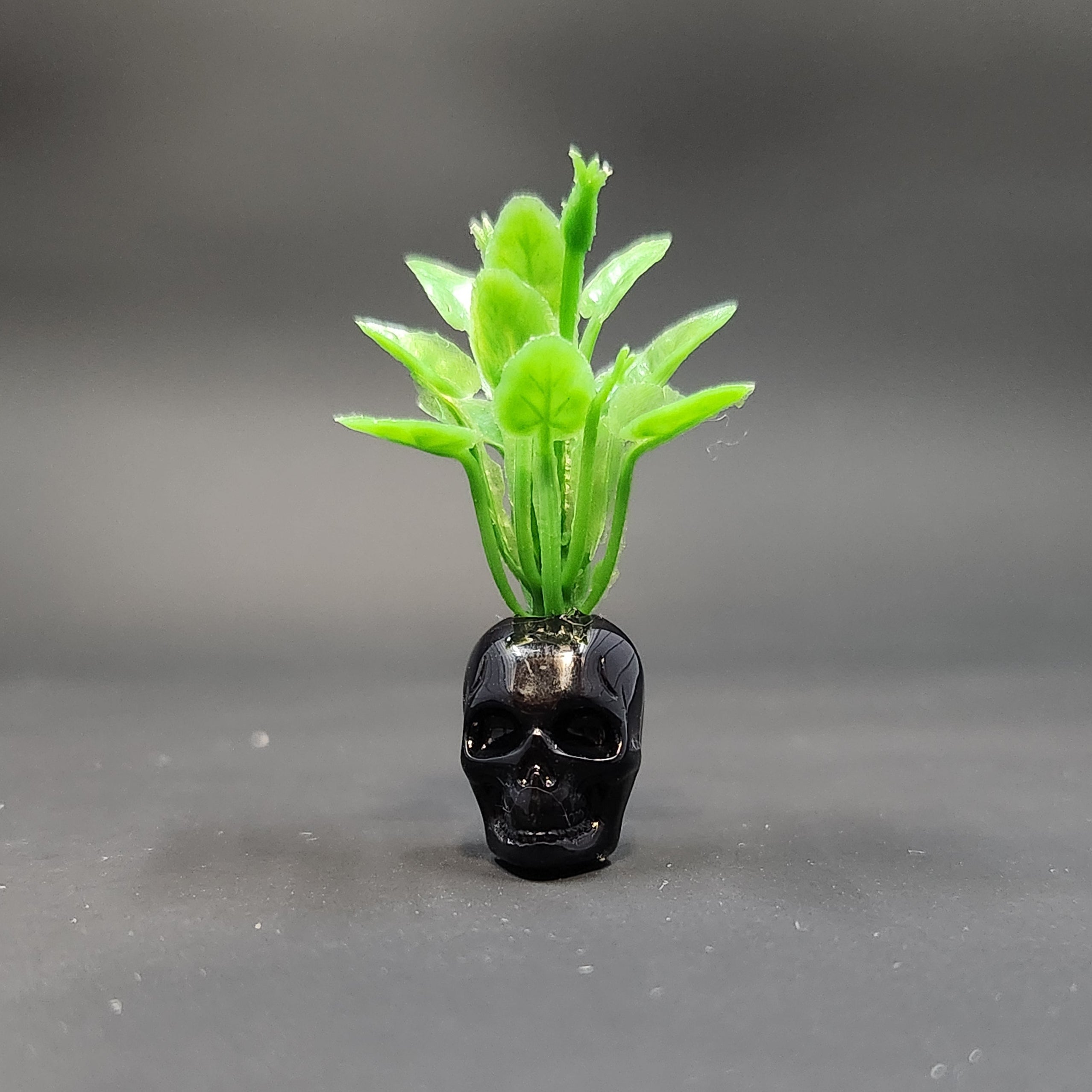 Miniature Black Skull Planter