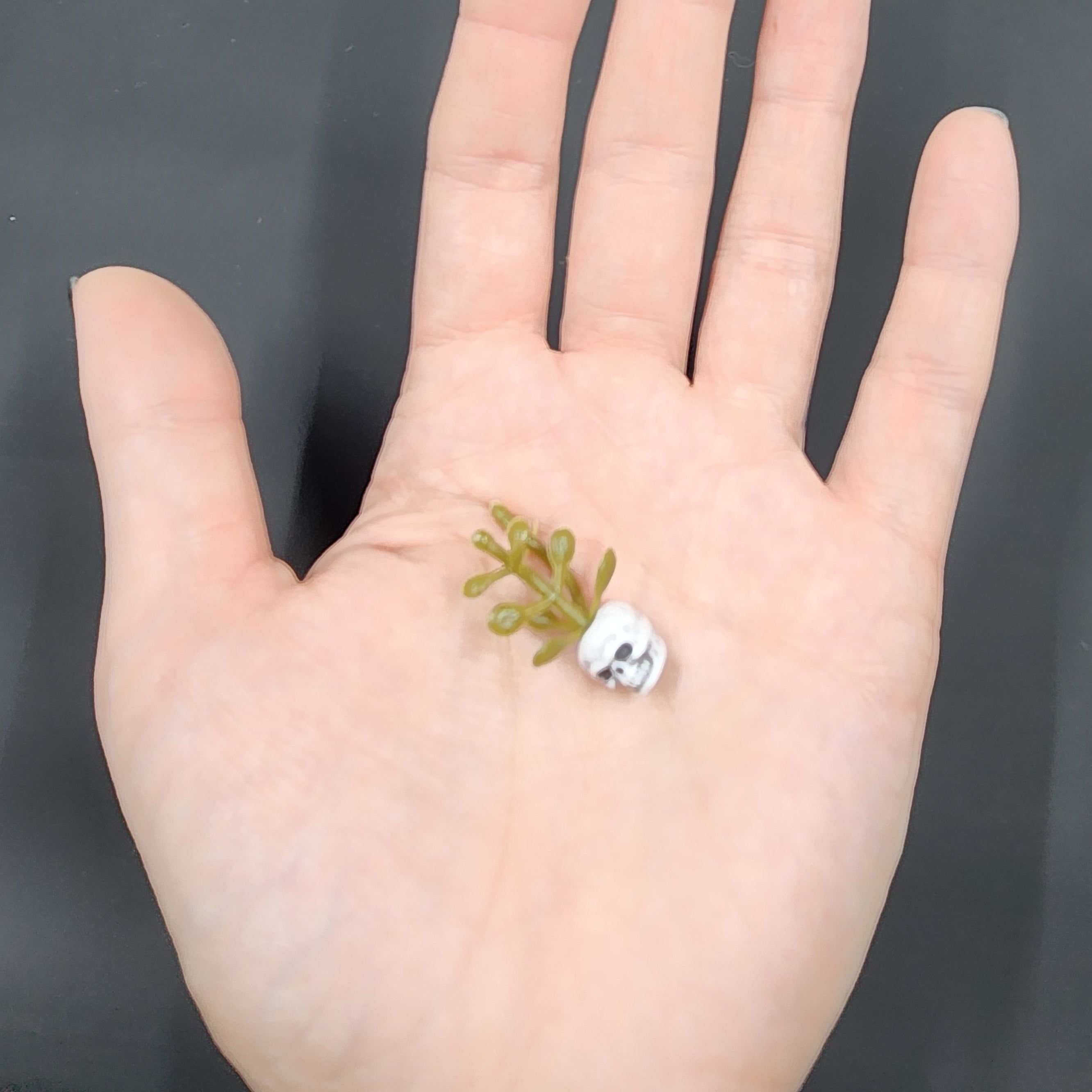 Miniature Detailed White Skull Planter