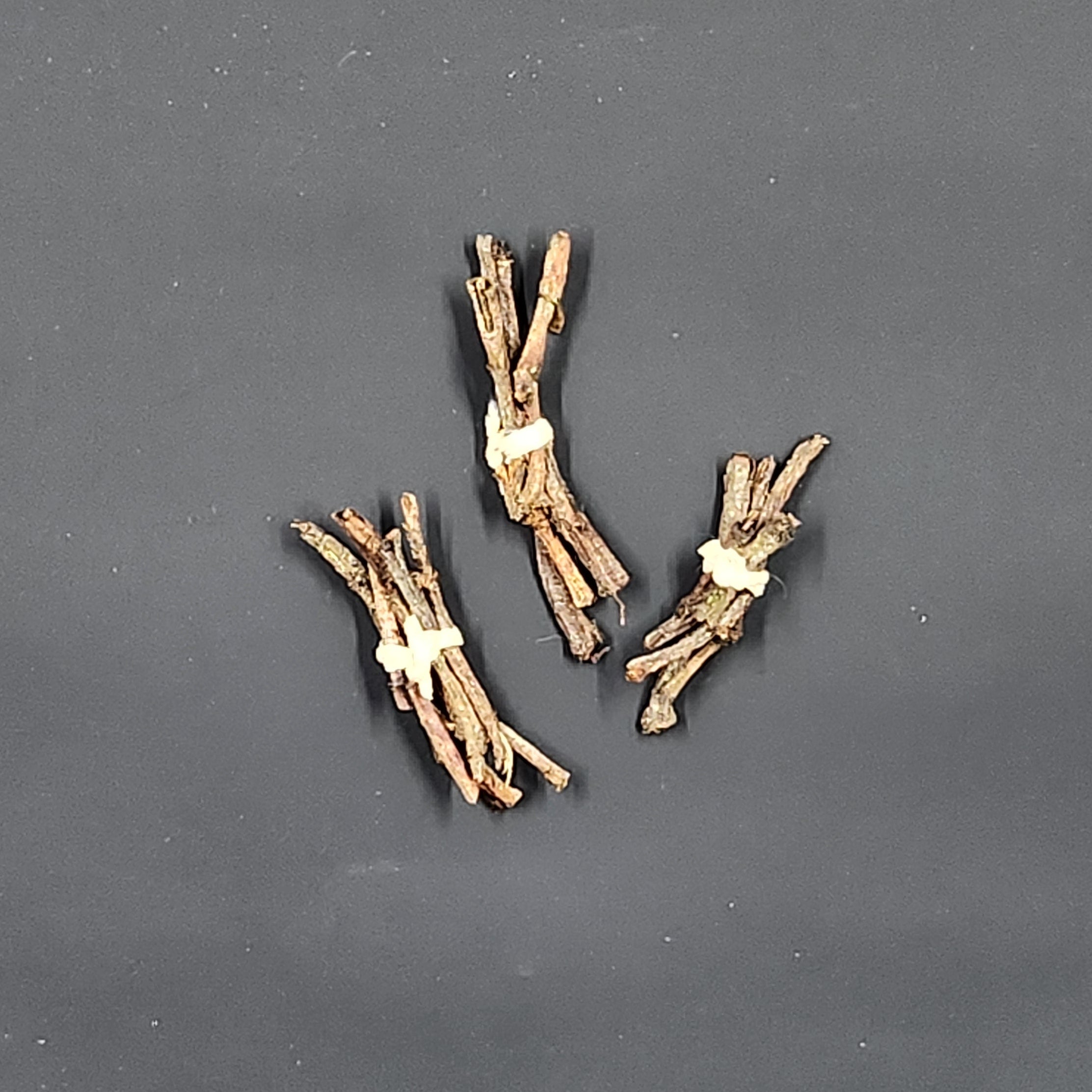 Miniature Bundle of Western Hemlock Twigs
