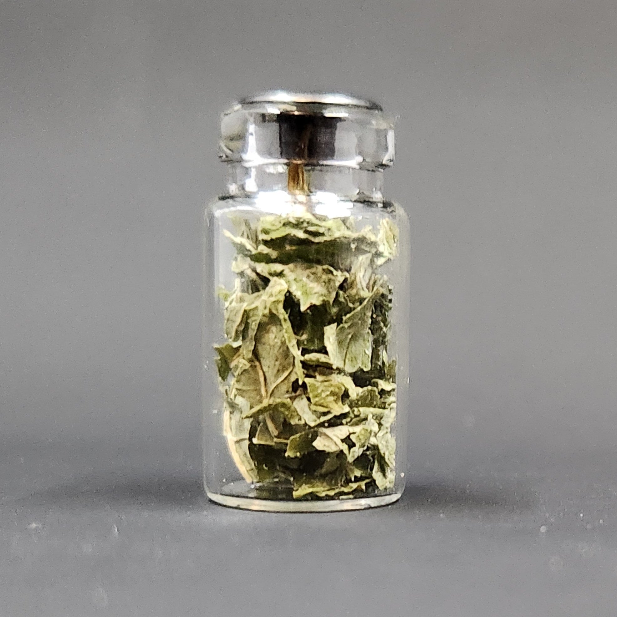 Miniature Jar of Lemon Balm