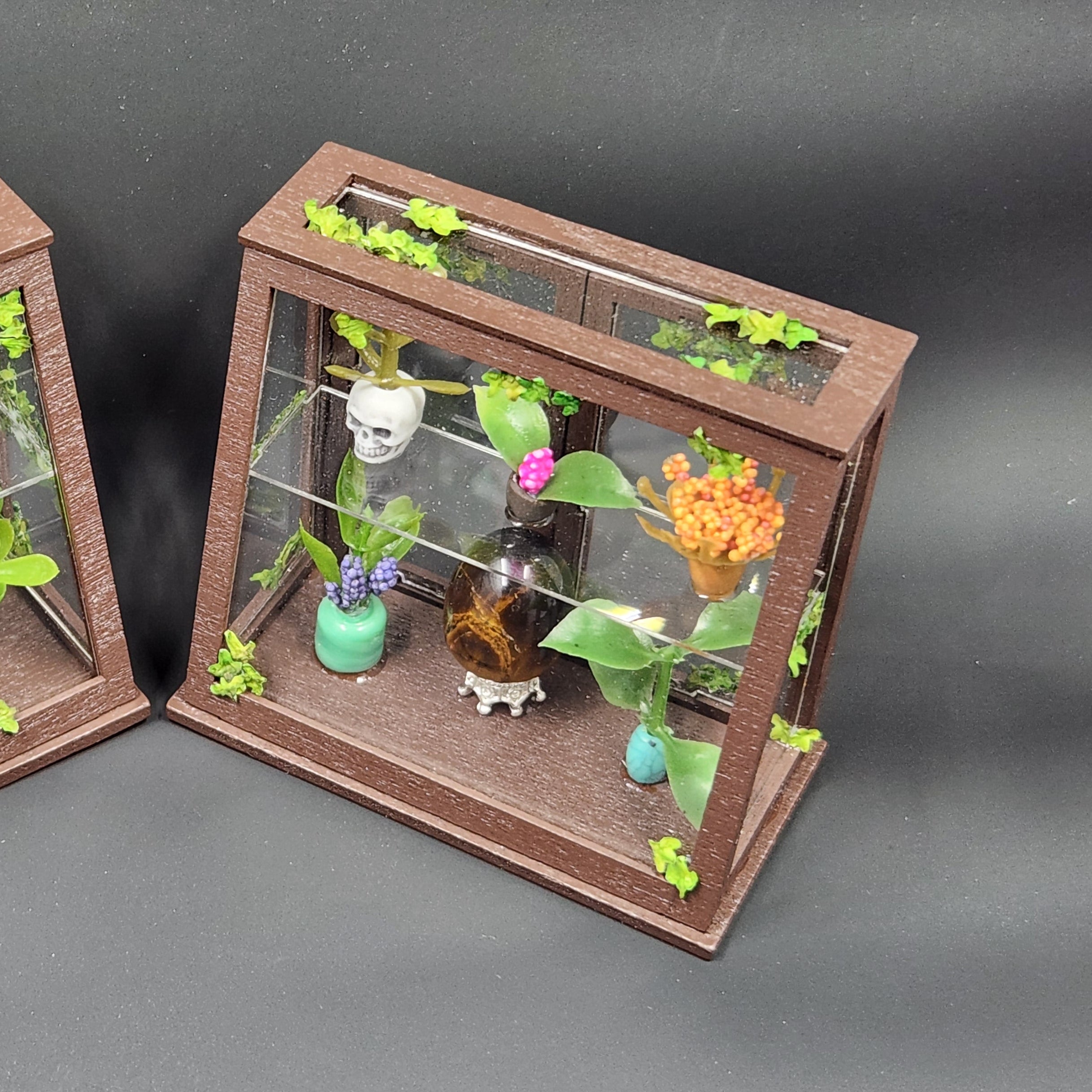 Miniature Terrarium Cabinet