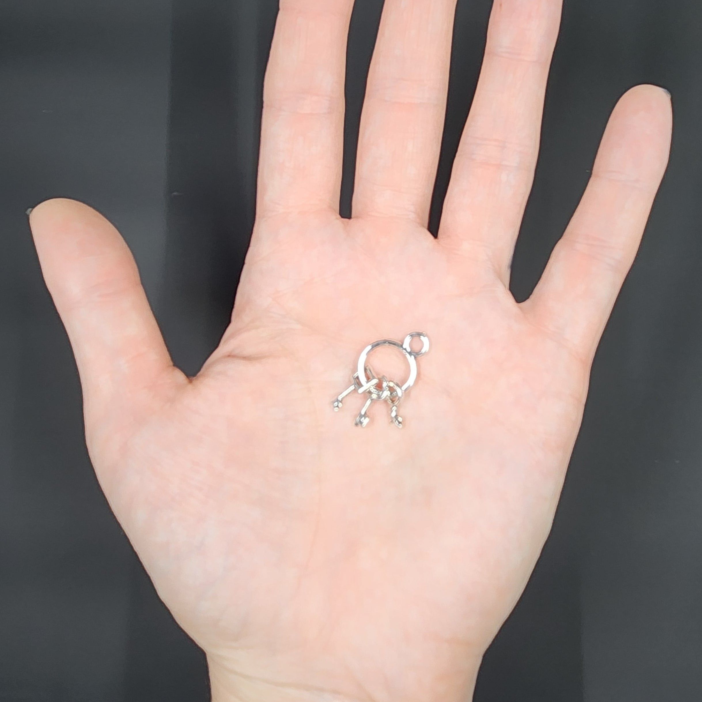 Miniature Skeleton Keys Keyring