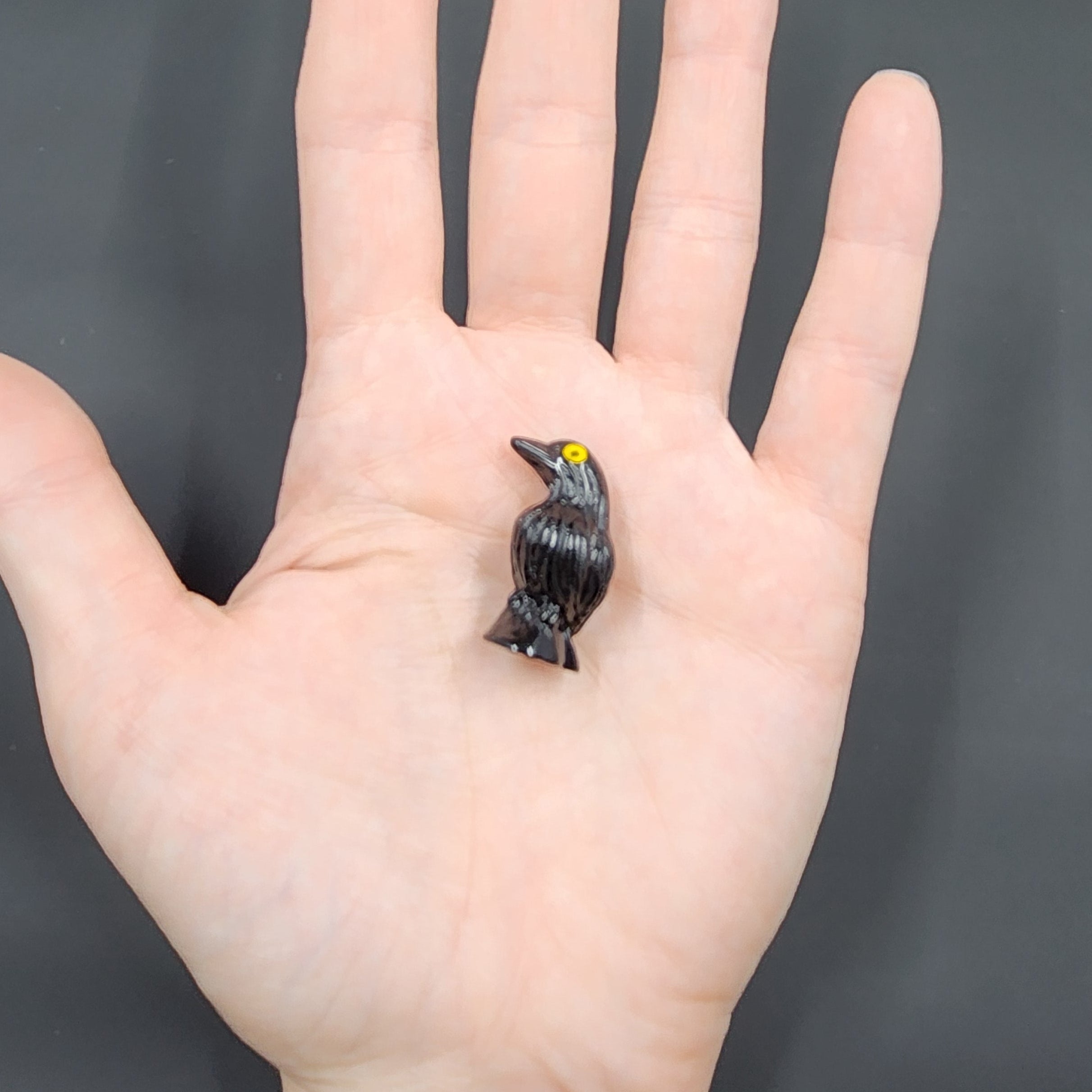 Miniature Raven